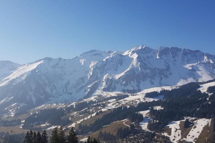 Kolibri Hochparterre - foto 24