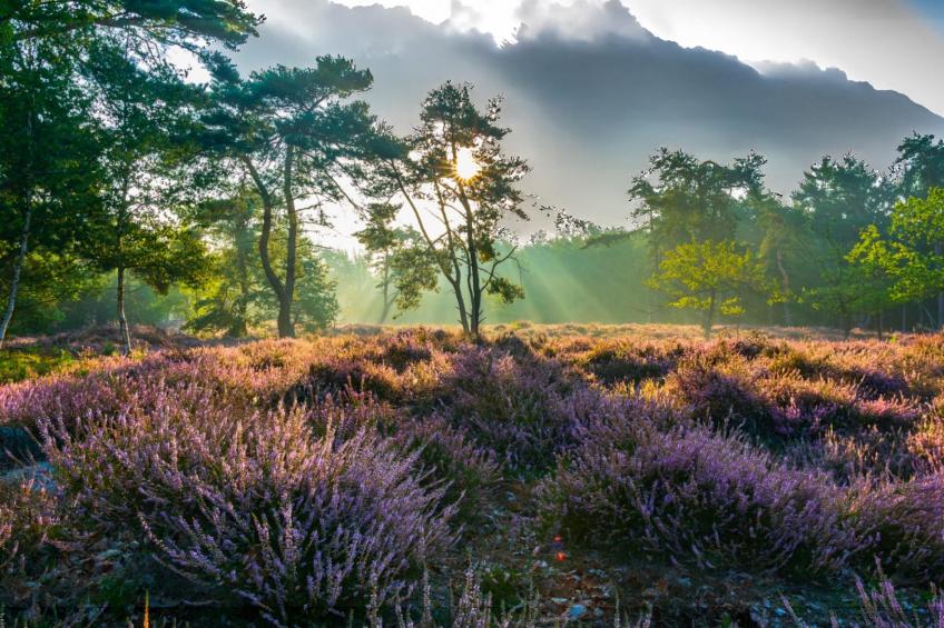 Lierelodge - foto 62