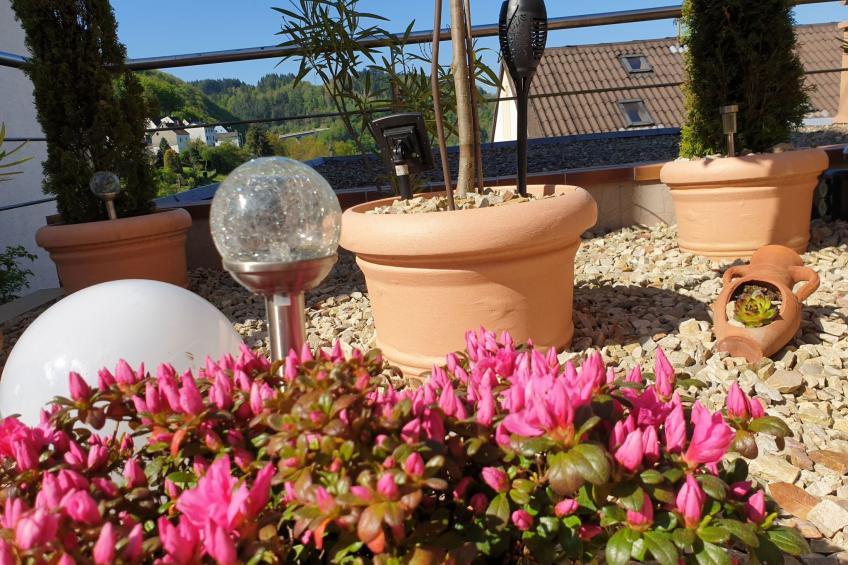 mit Blick auf das Wasser - foto 9