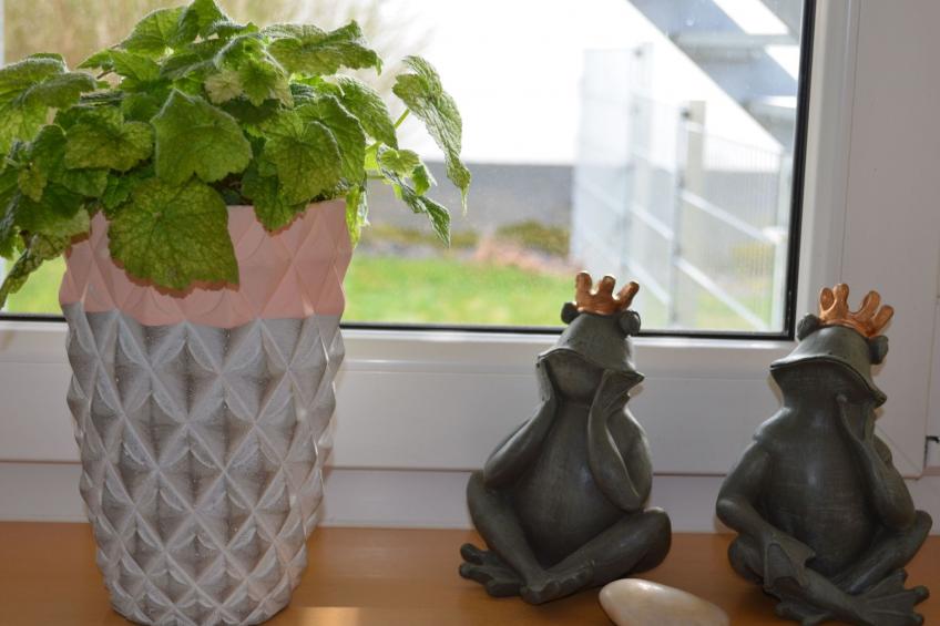 FeWo 5 Jahreszeiten - foto 19