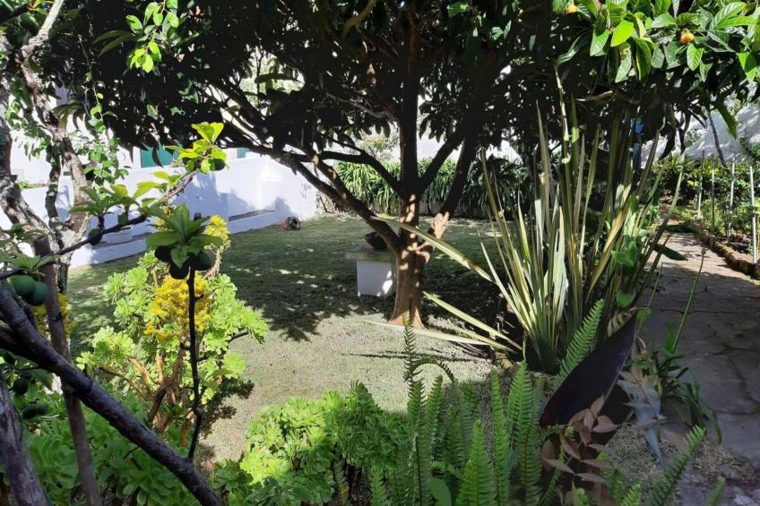 Historisches Haus in der Nähe des historischen Dorfes von Óbidos - foto 30