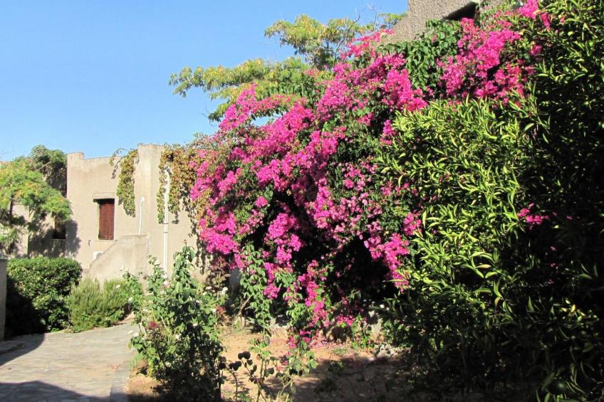 Bungalows für 2-4 Pers. mit Meerblick - foto 13