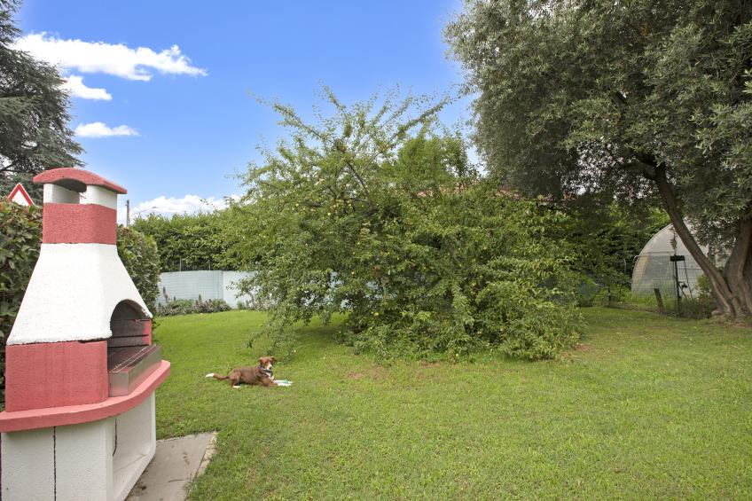 Connie's apartment - foto 35