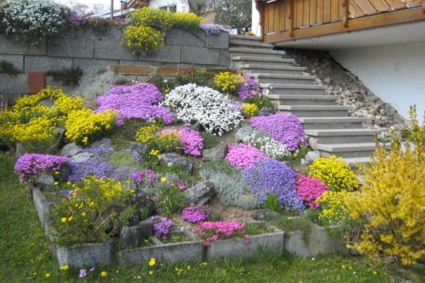 Fewo Holzer - foto 7