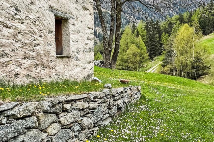 Maiensäss La Scera - foto 41