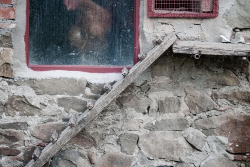 'La torre' mit Pool - foto 15