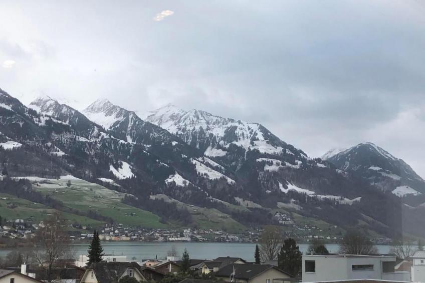 Penthouse Alpenblick (6 Erwachsene & 3 Kinder) - foto 24