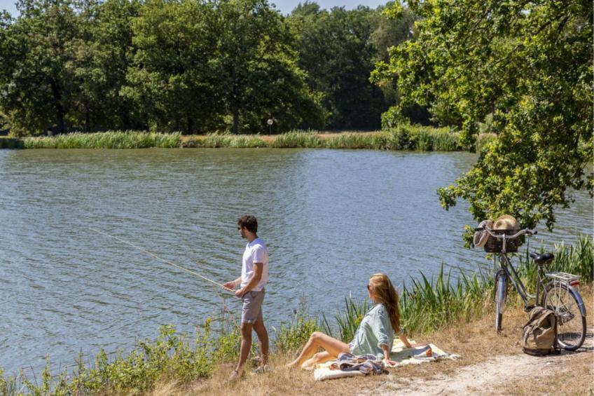 Chalet Merisier 4p 2Bdrms AirConPremium - foto 30