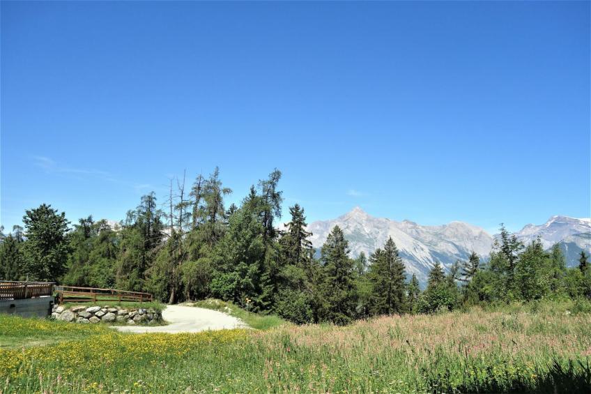 Les Mayens MB 001 - LUXURY apartment 8 pers - foto 30
