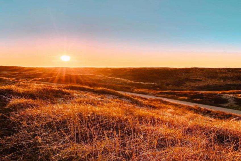 Bungalowpark de Gouden Spar - foto 34