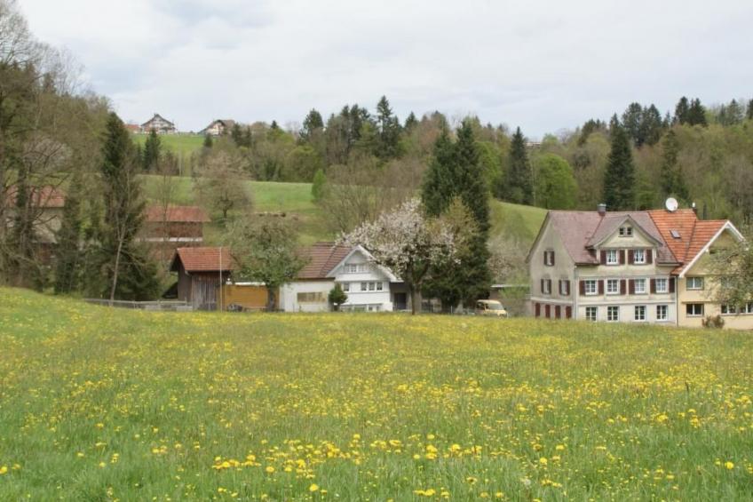 Haus Usziit - Zeit die Seele baumeln zu lassen - foto 6