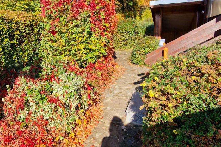 Buchengrund - foto 30