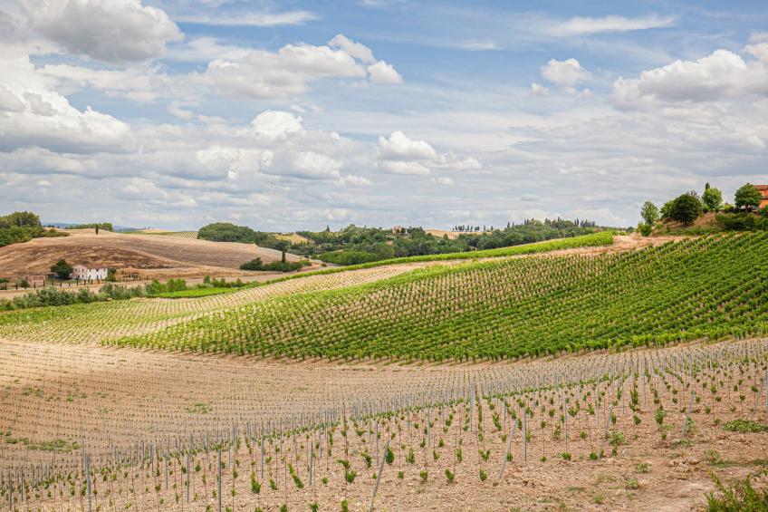 Il Poggiale-app6 - foto 10