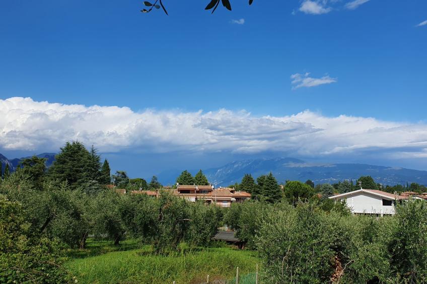 Piccola Perla - foto 25