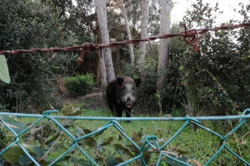 'Villa Paradisino - foto 21