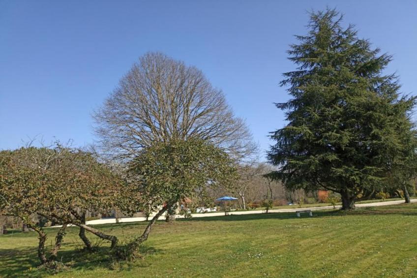 Résidence Le Clos des Vignes - foto 23