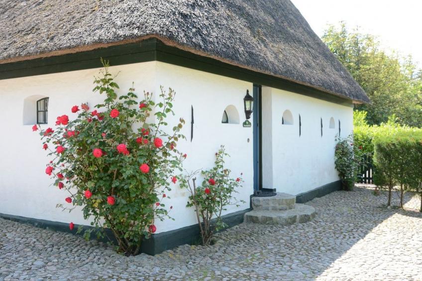 Haus Strandläufer - foto 2