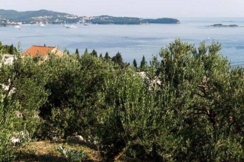 Apartments Olive - One Bedroom Apartment with Terrace and Partial Sea View - Popolica 50 - foto 17