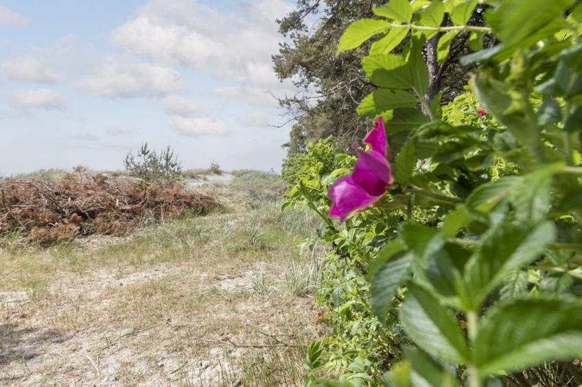 "Lucjan" - 200m from the sea in Bornholm - foto 24