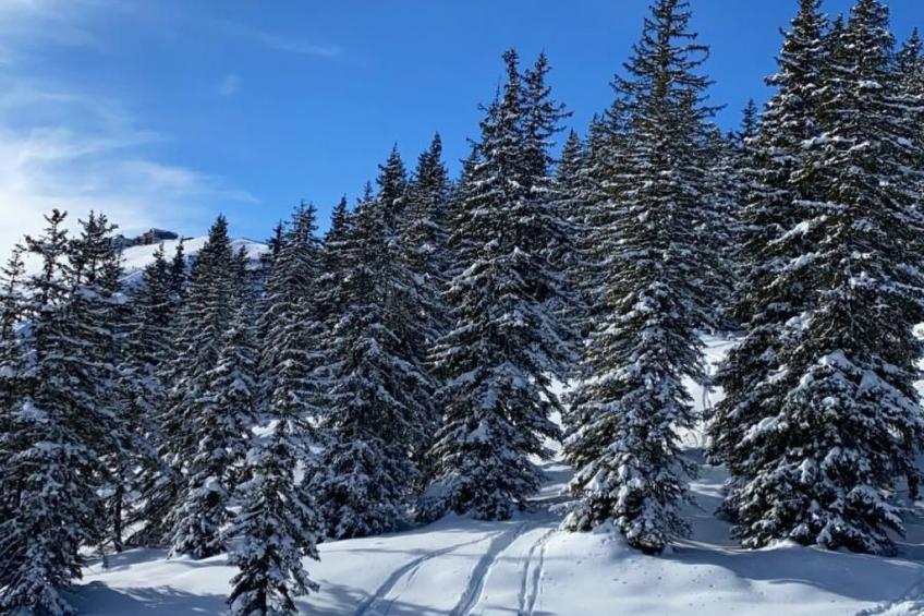 Alpinresort Kaprun top 1 - foto 32