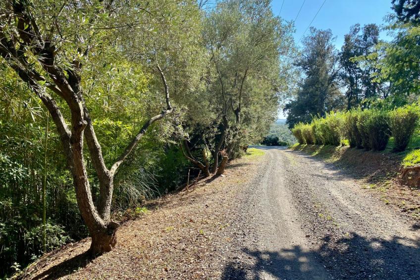 Weingut Punta della Guardia Panorama von Macchia und Meer - foto 20