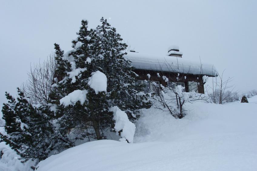 Ferienhaus Chasa Refugi, (Müstair) - foto 22