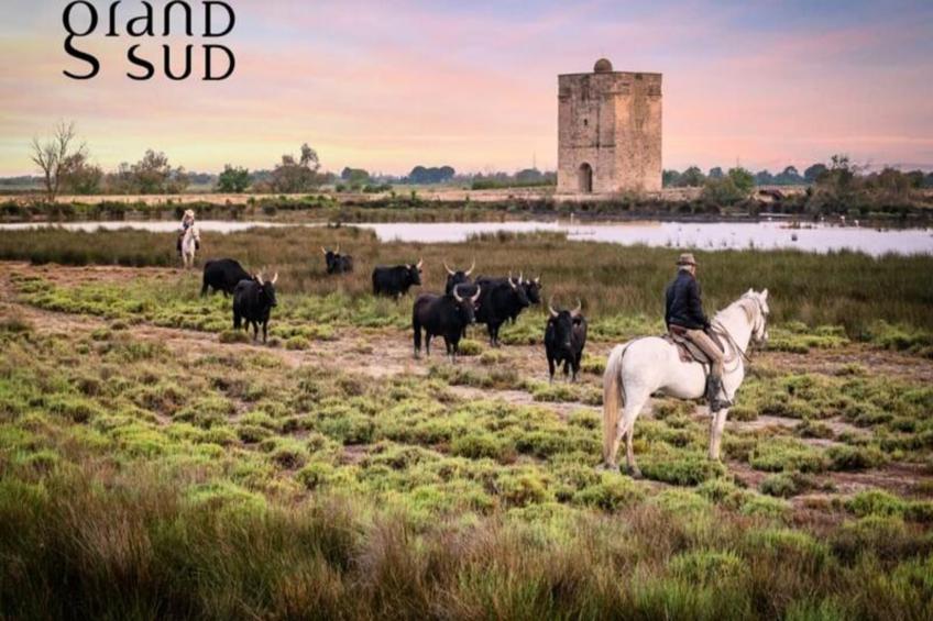 Résidence Tellines - Appartement  Avec Petite Vue Mer - foto 24