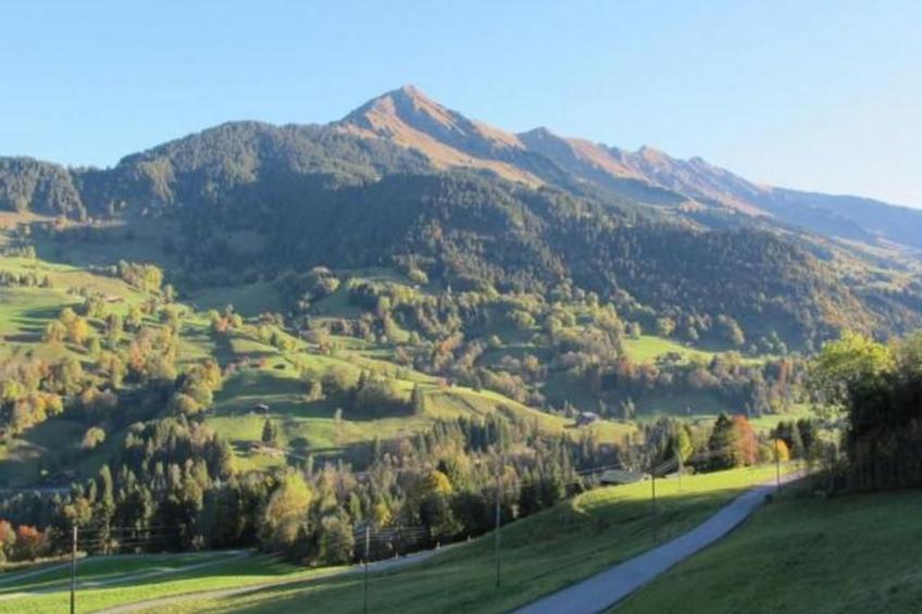 Authentisches Schweizer Alpenchalet aus dem 18. Jh. - foto 54