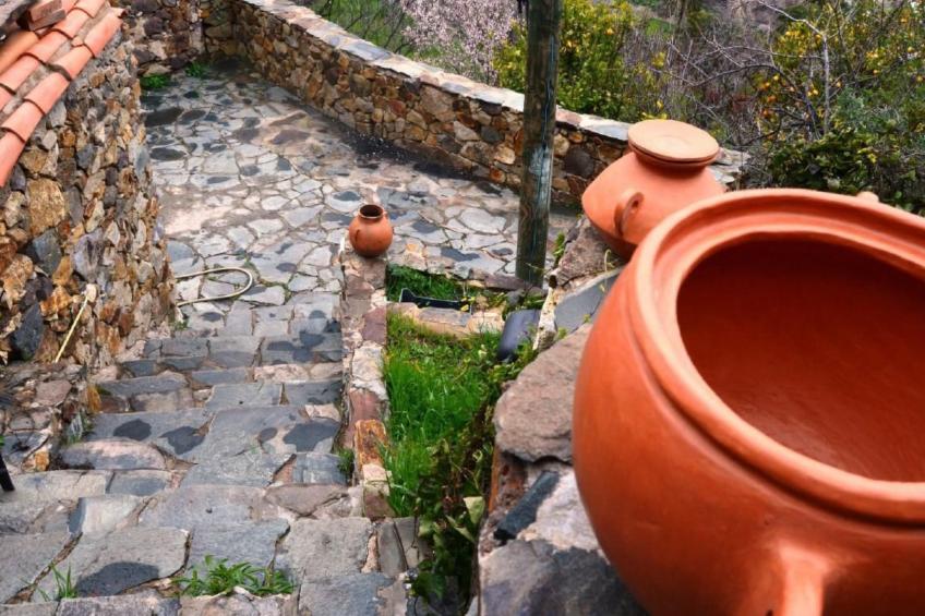 Landhaus Pepita la de las flores - foto 35