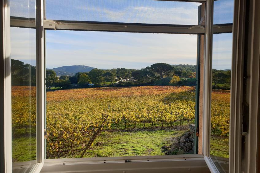 im Herzen der Weinberge, schattige Terrasse umgeben von Grün, Pool - foto 9
