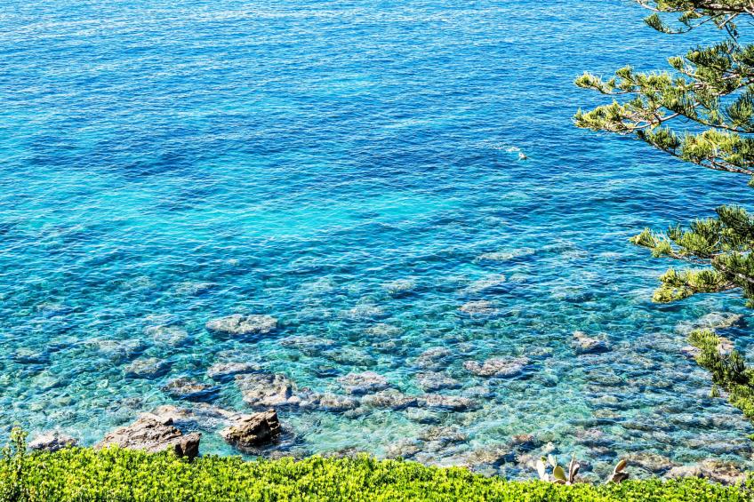 Feet in the Sea - foto 17