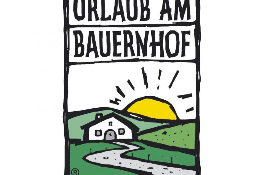 610 - foto 36