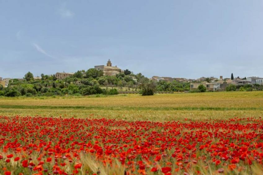 Montserrat - foto 40