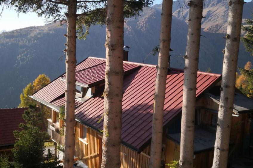 Almhütte Enzian - foto 29