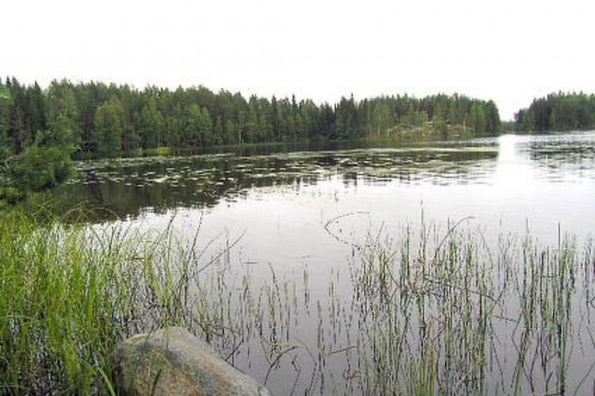 Kärkelä - foto 25