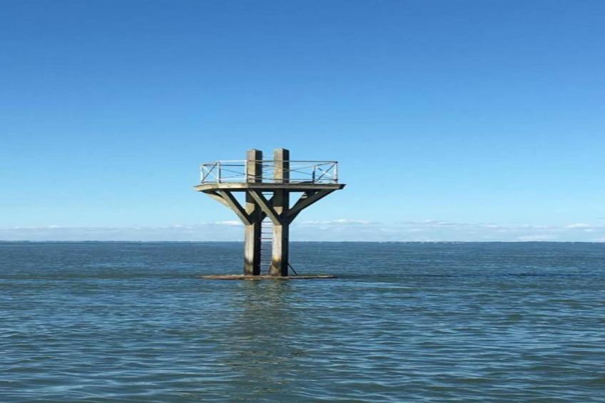 Résidence Prestige le Domaine des Pins - foto 30