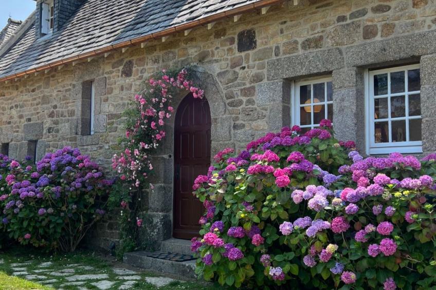 Villa Monrepos - foto 8