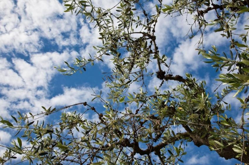 Blaue Wohnung - foto 31