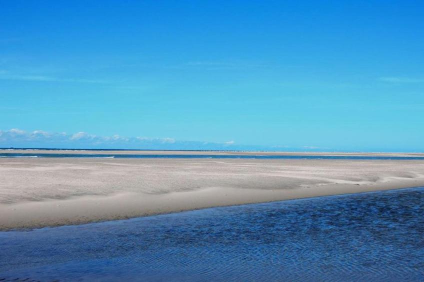 Cardium 33 - foto 39