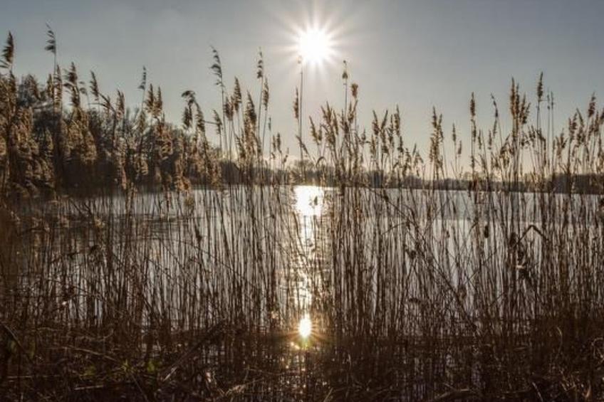 mit Fasssauna - foto 21