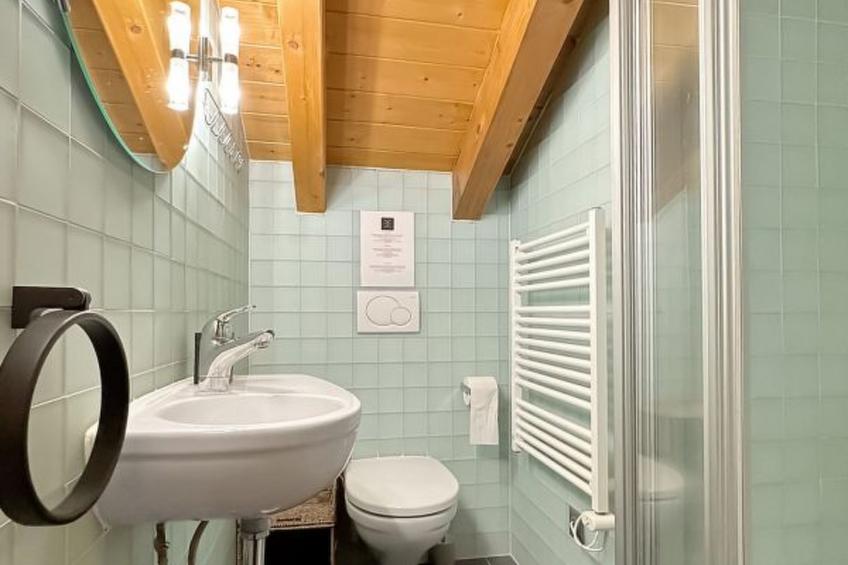 Hakuna Matata- 4 Vallees  Swiss Alps - foto 10