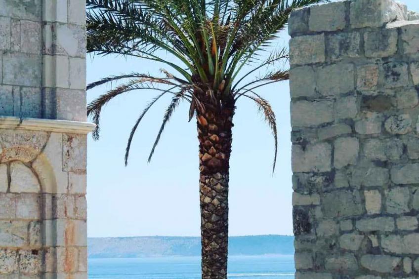 Studio with terrace and sea view - BF-9VNN2 - foto 41