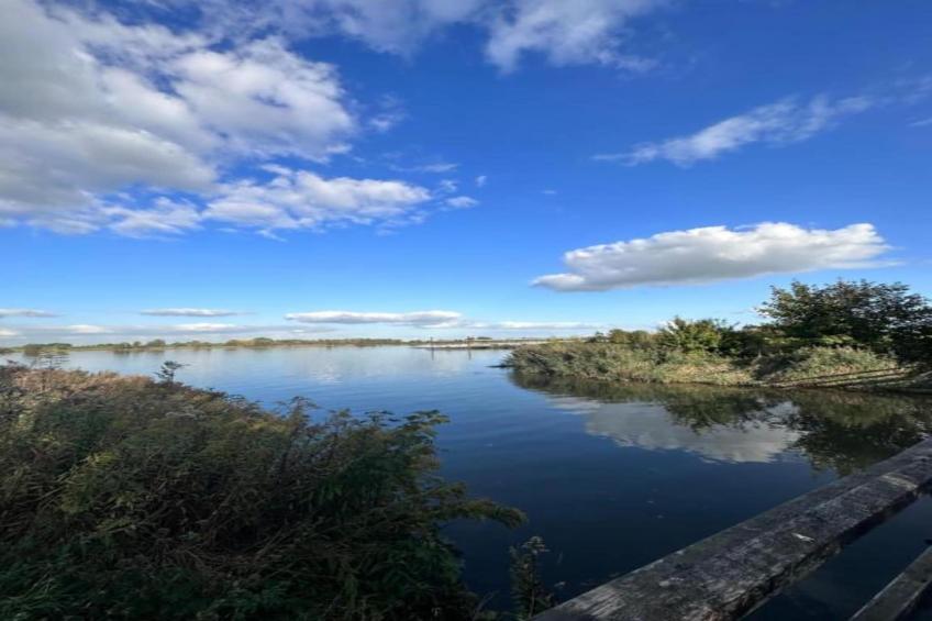 Halseweg 54 - foto 22