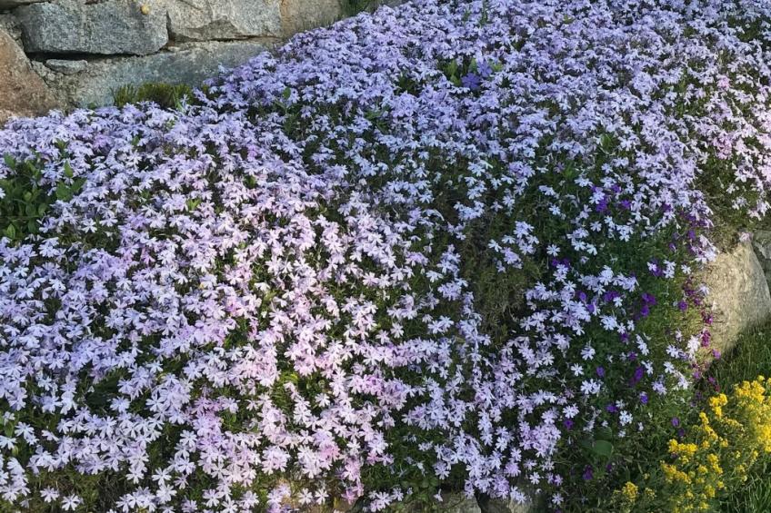 Haus Sonnenschein - foto 29