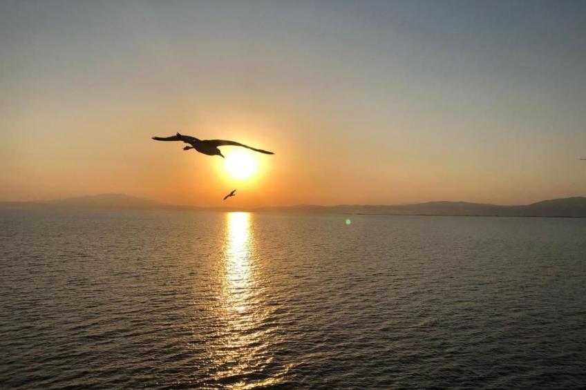 Olivia Sea Cottage - foto 30