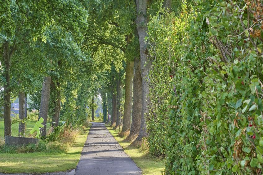 Erve Koeleman - foto 27