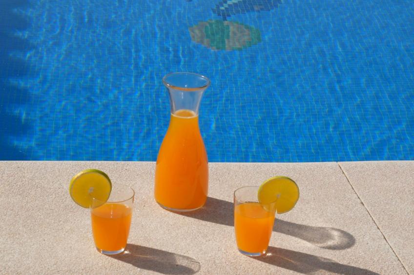 Finca auf einem eingezäunten Grundstück - foto 9