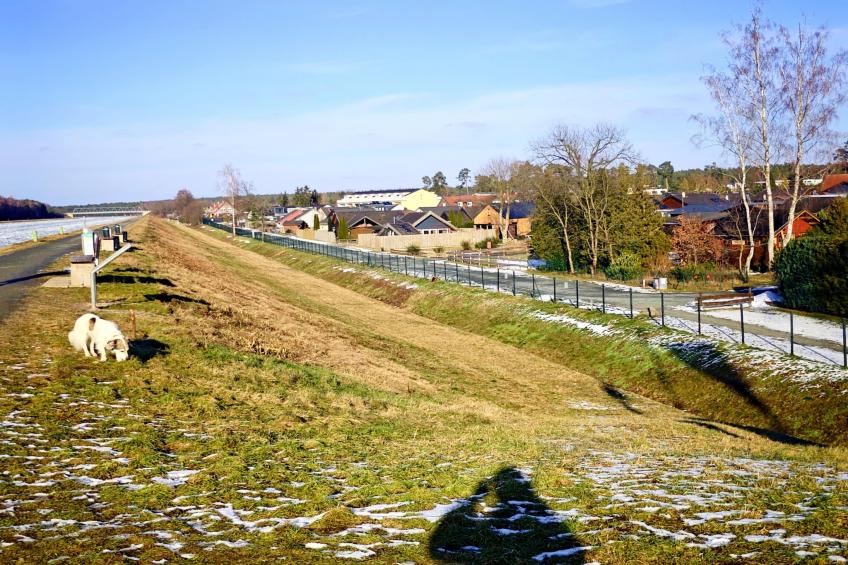 Forest chalet - foto 17