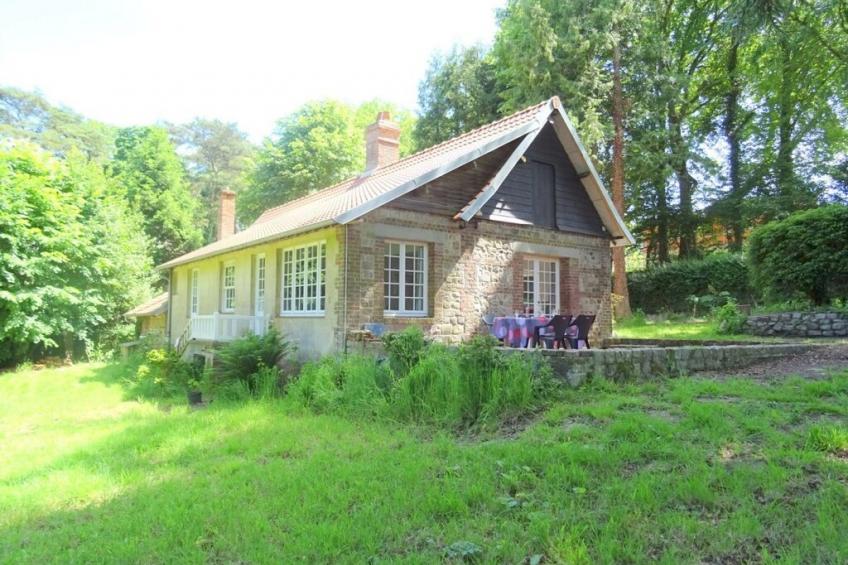 232580 - foto 2
