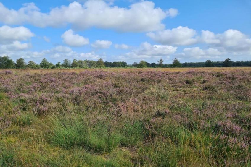 De Weide 4P - foto 35